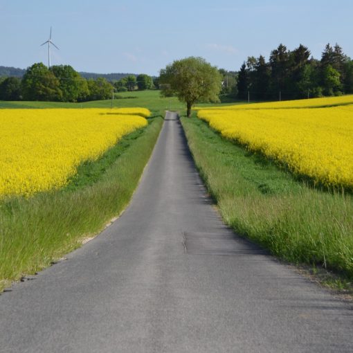 Germany In the Spring