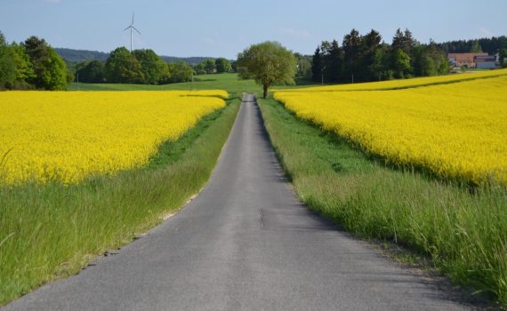 Germany In the Spring