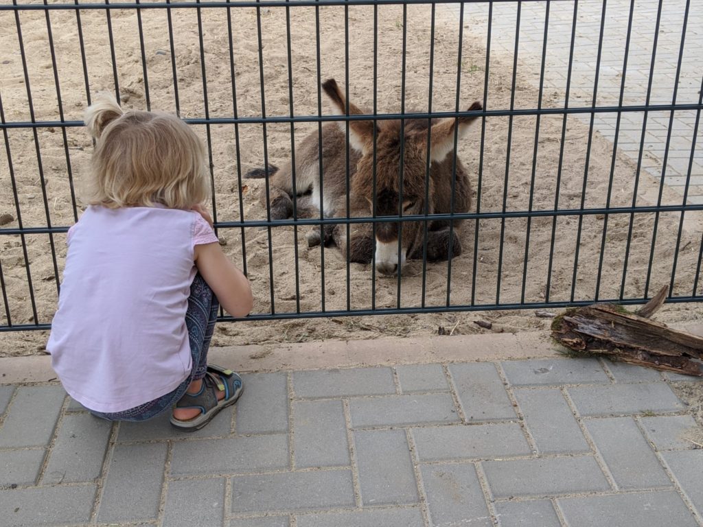 center parcs allgäu petting zoo