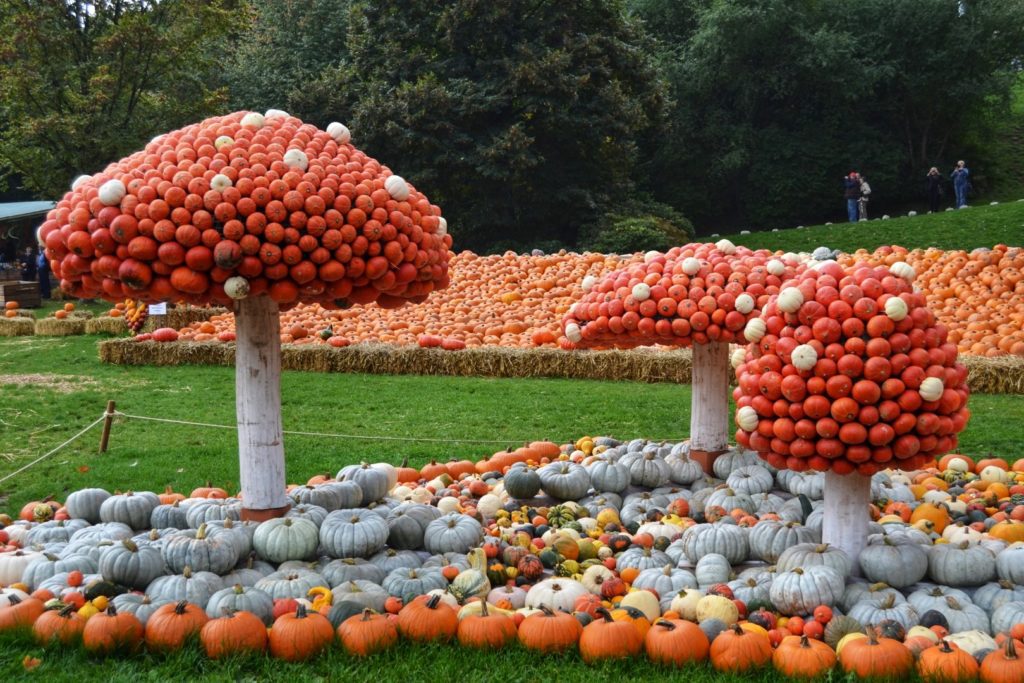 Your Complete Guide To Ludwigsburg Pumpkin Festival 2023