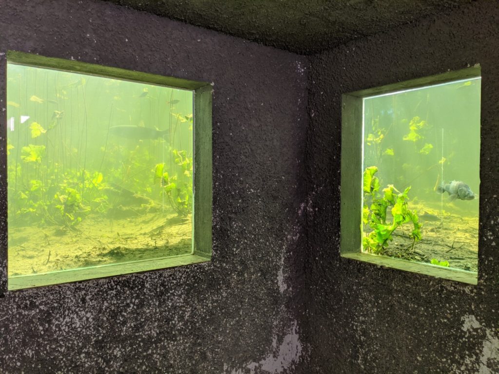 Wildgarten Underwater Observation Station