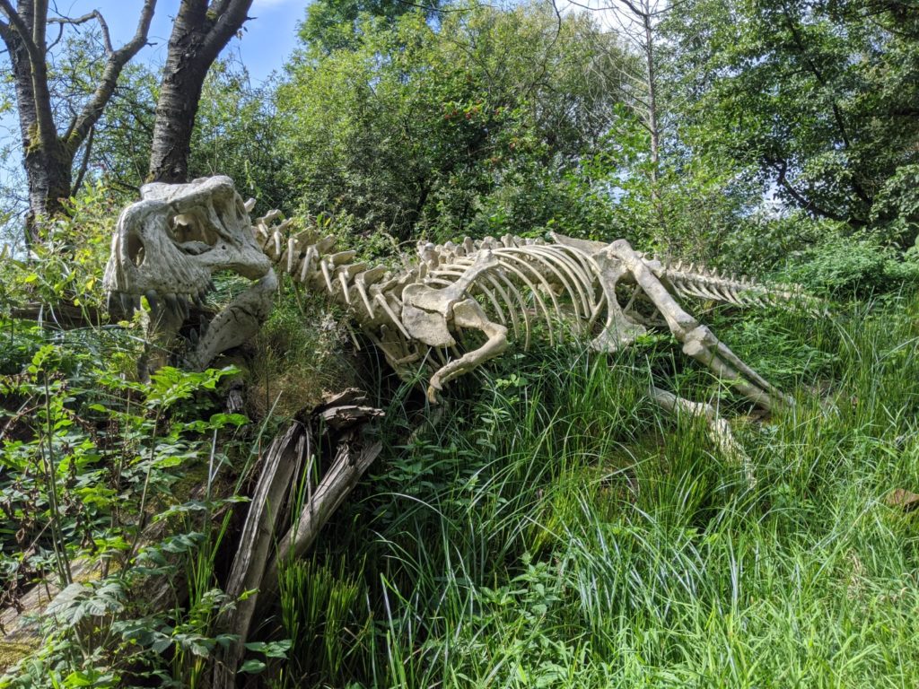 Wildgarten T-rex