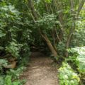Bavarian Forest Wildgarten Furth im Wald