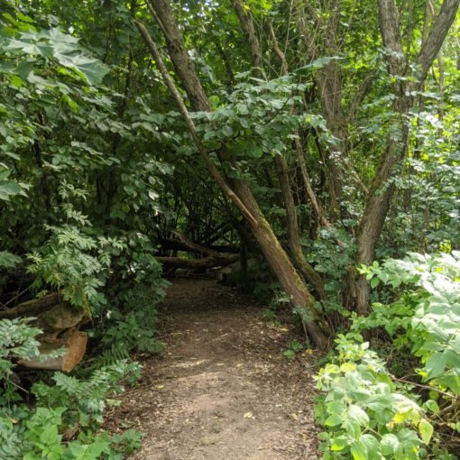 Bavarian Forest Wildgarten Furth im Wald