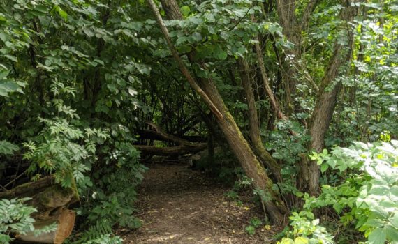 Bavarian Forest Wildgarten Furth im Wald