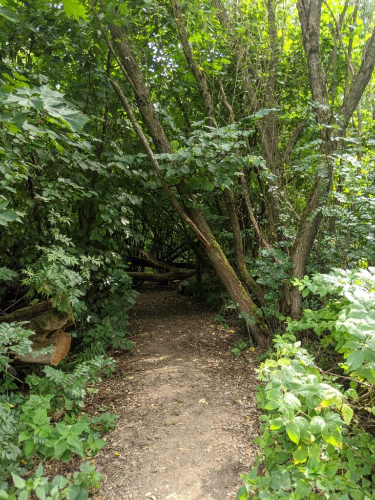 Bavarian Forest Wildgarten