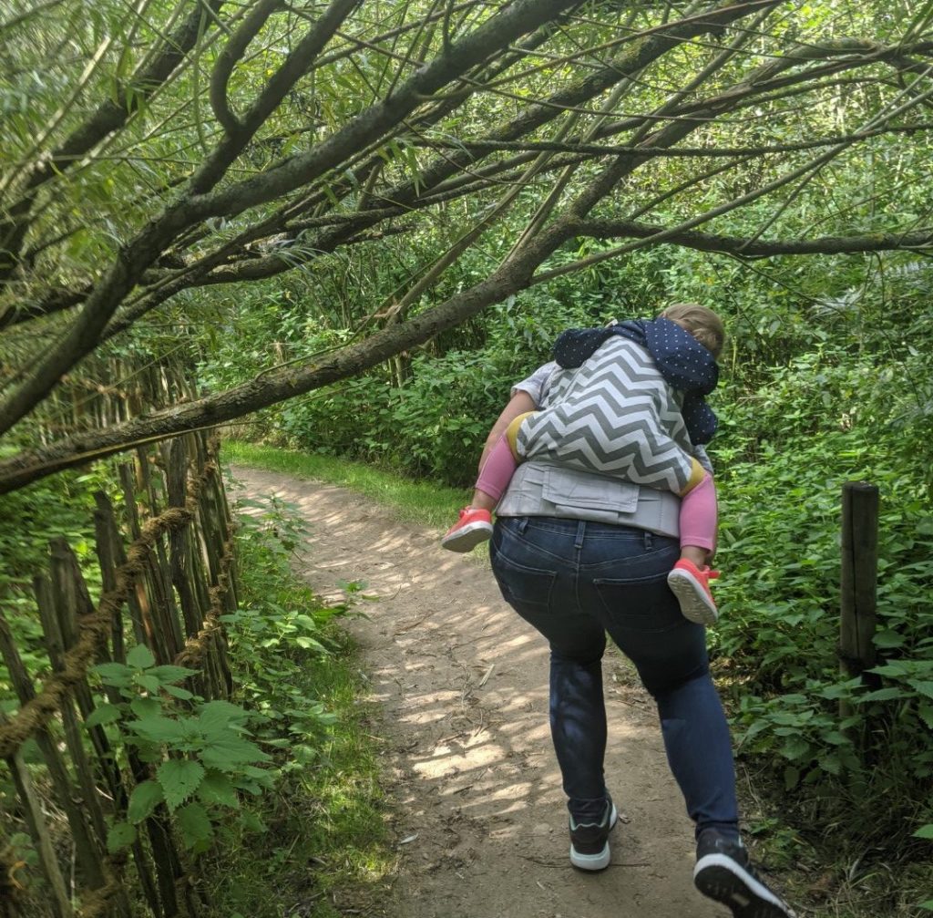 Furth im Wald Wild Garten