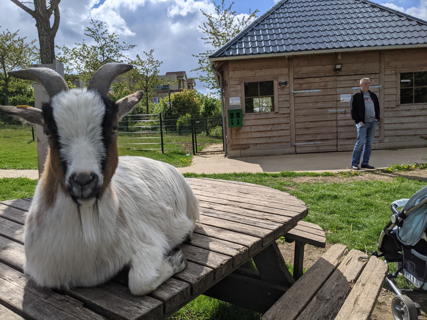 Hochsauerland Germany Centerparc Petting zoo