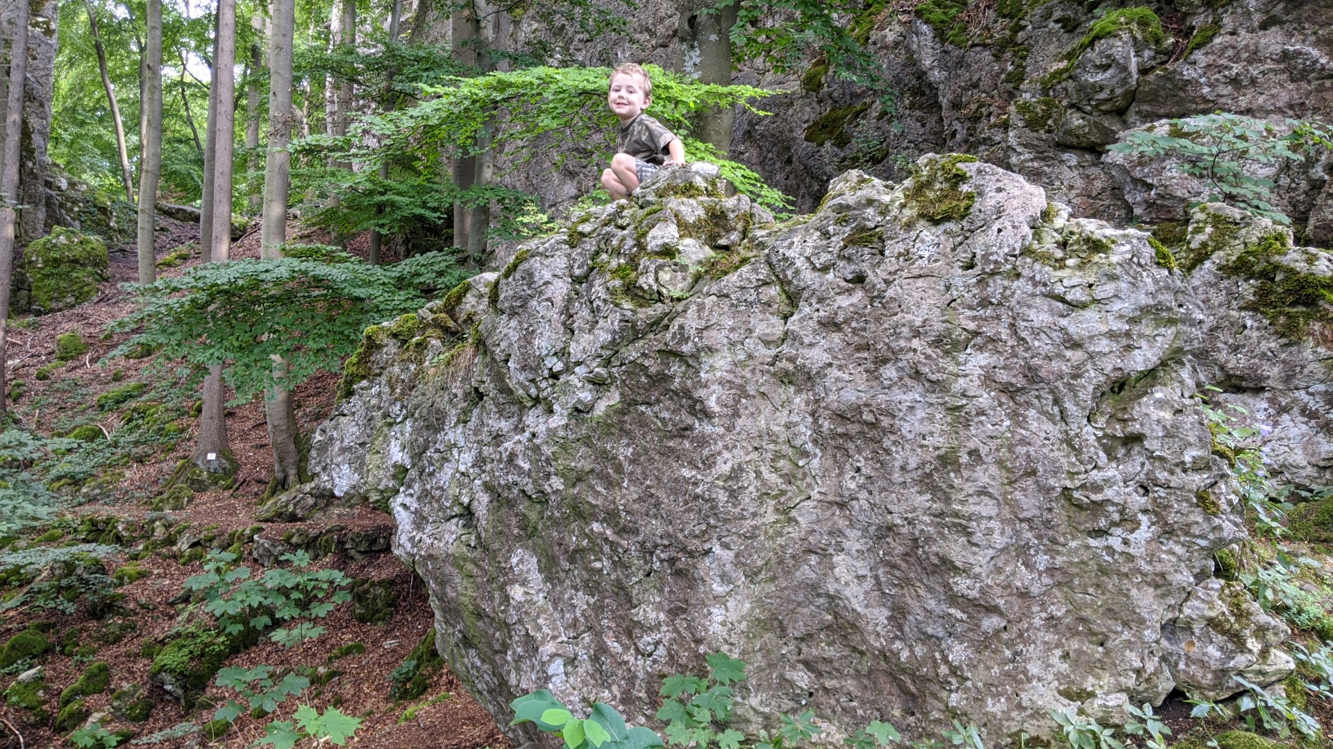 hiking near regensburg with kids