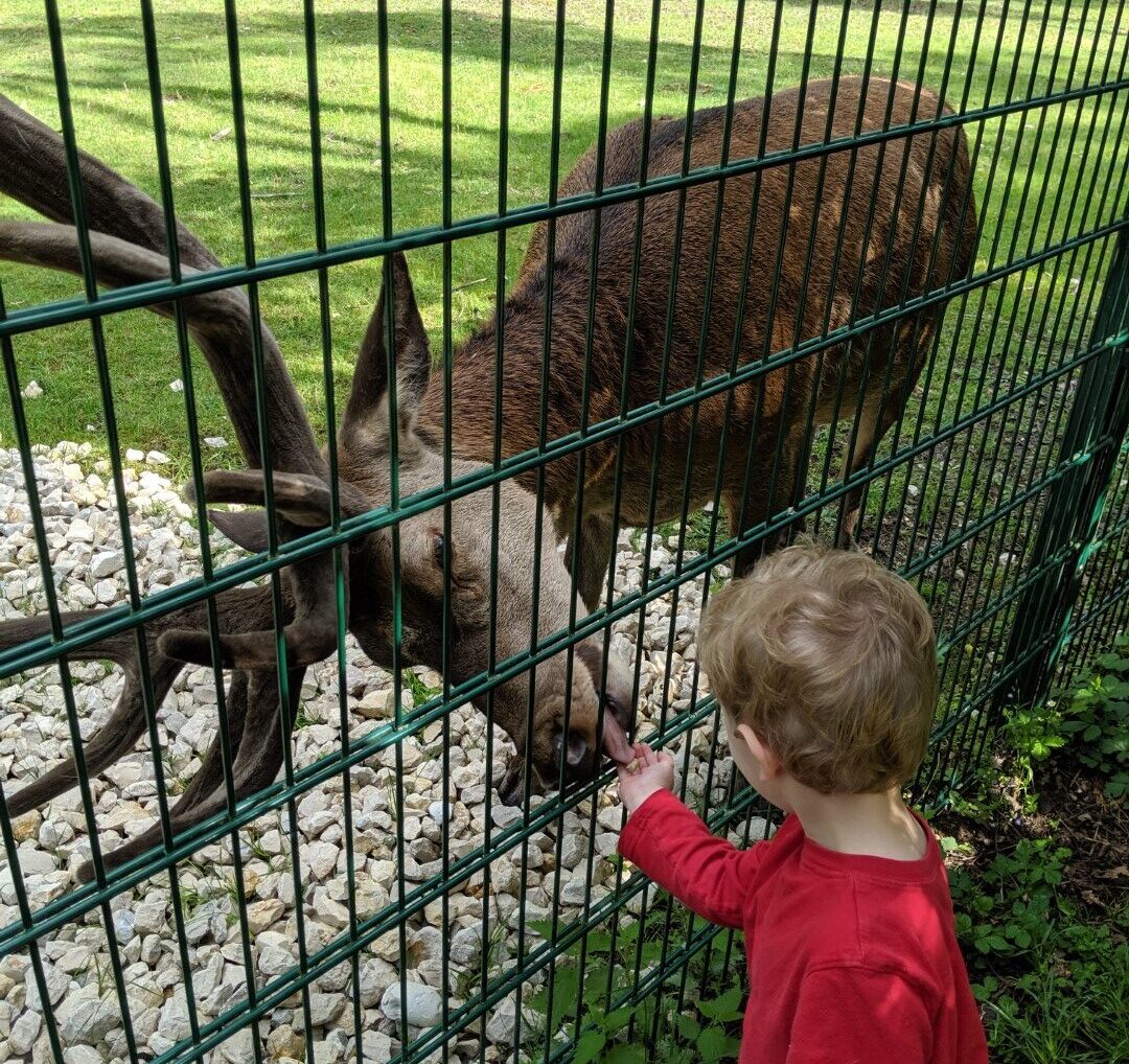 Teublitz Höllohe Wilpark