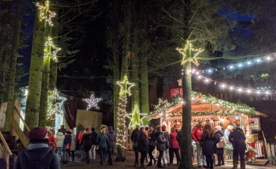 best christmas markets in germany