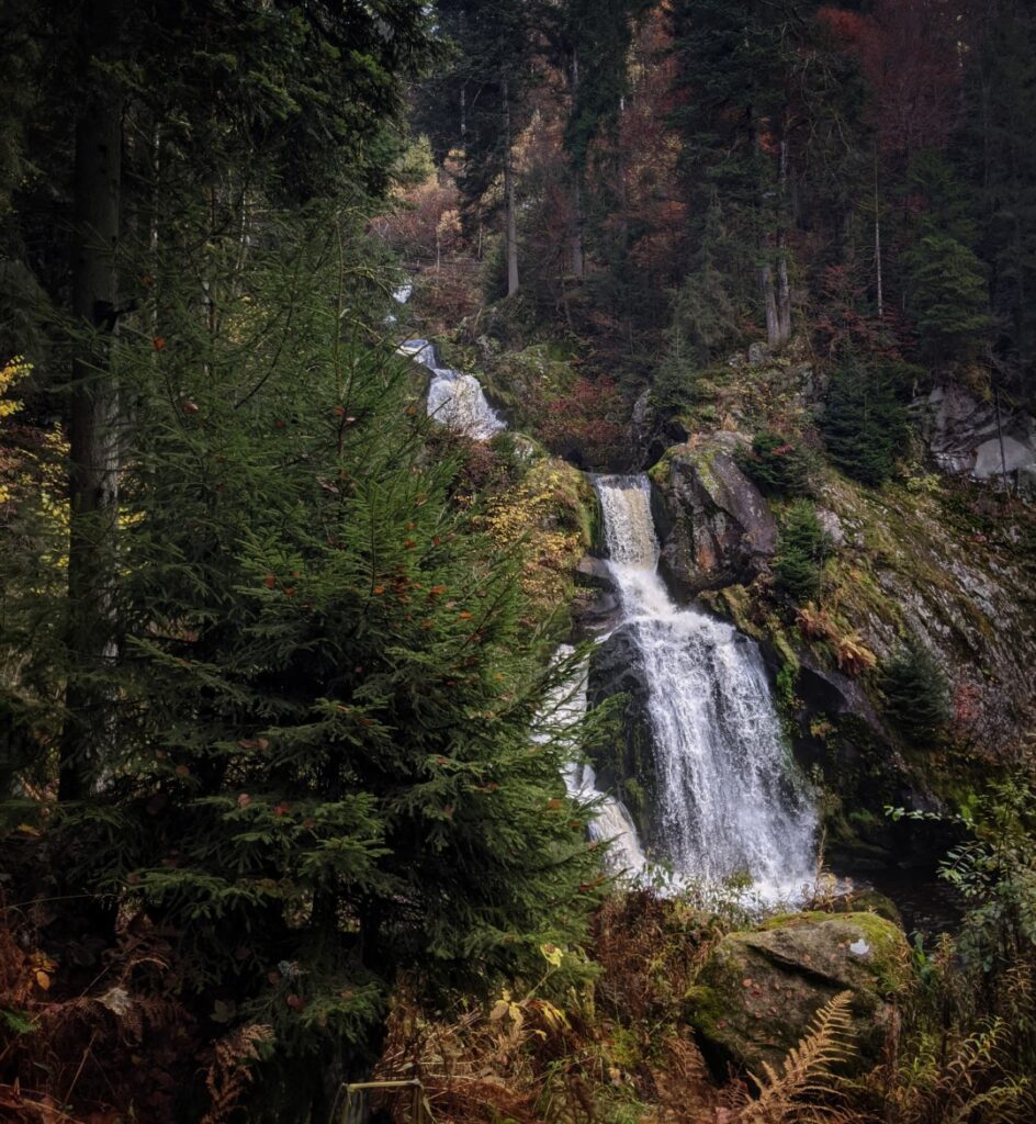 4 Options For the Perfect Black Forest Road Trip Itinerary