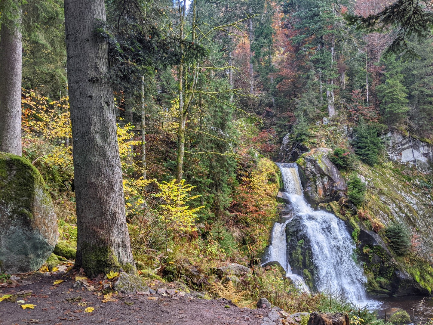 Everything To Know About Visiting The Triberg Waterfall And Other Black Everything To Know About Visiting The Triberg Waterfall And Other Black
