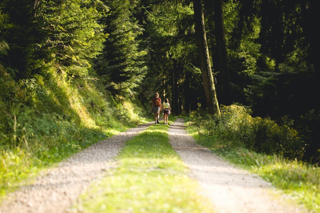 what to do in the black forest