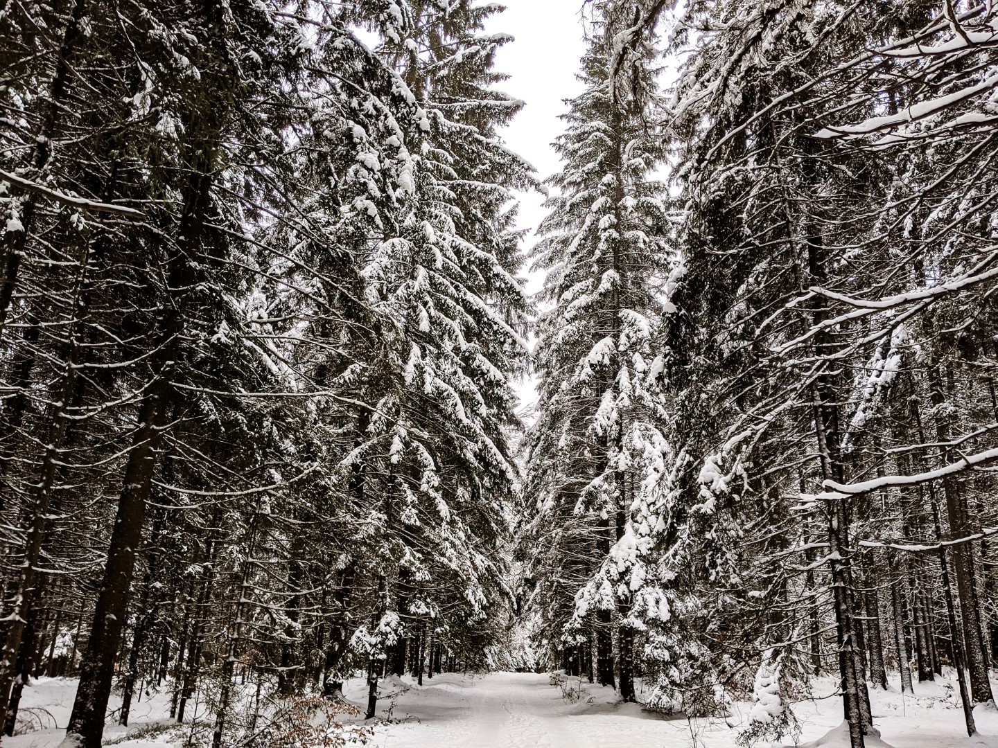 Things To Do In Germany in February WanderInGermany