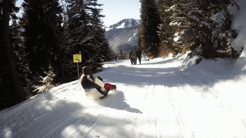 longest toboggan run in allgau