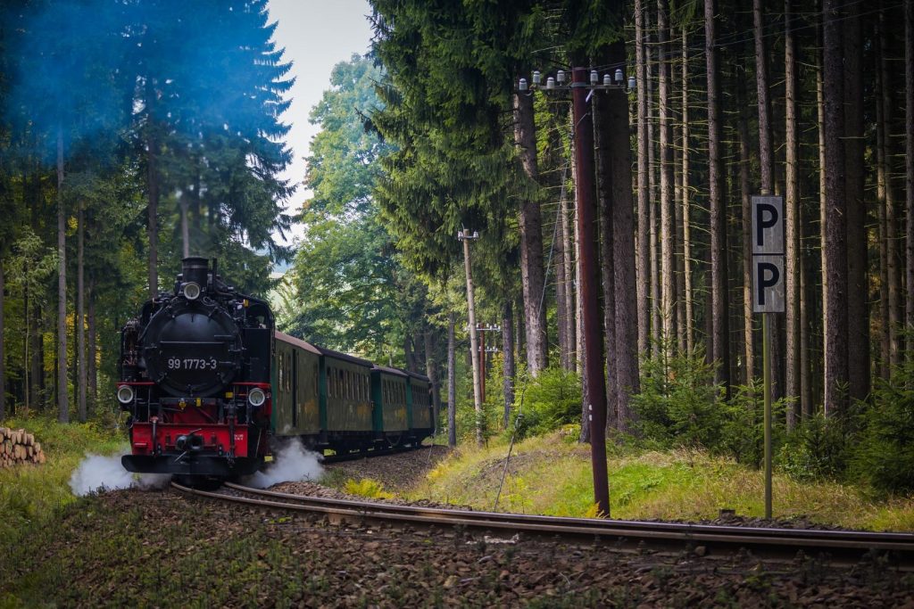 Black Forest By Train
