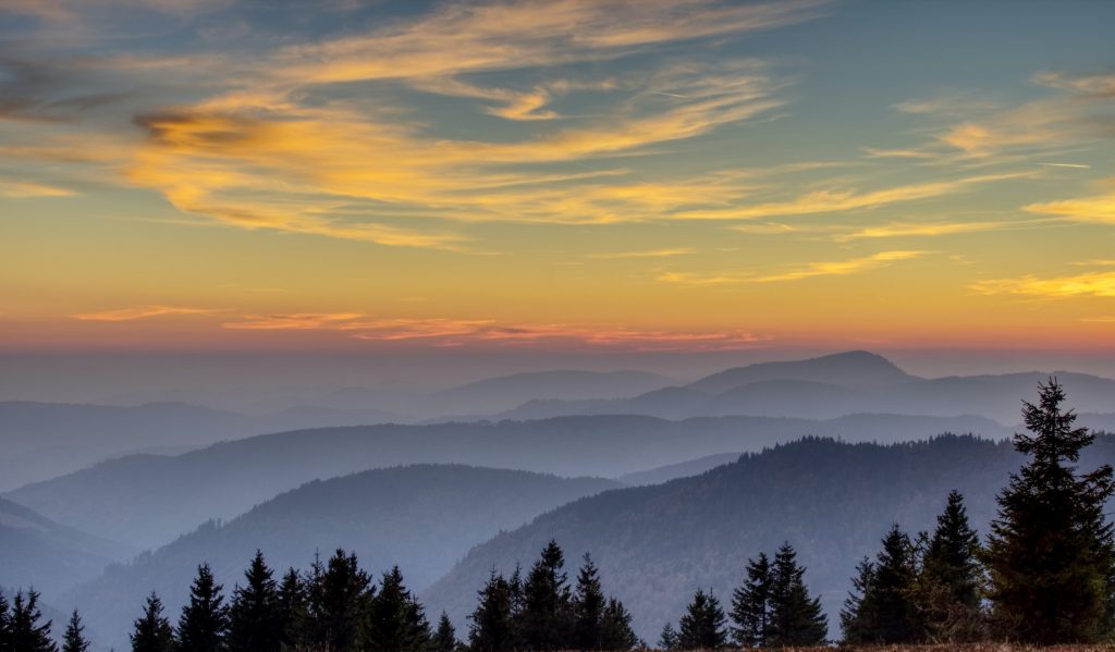 Black Forest Hikes Feldberg Mountain