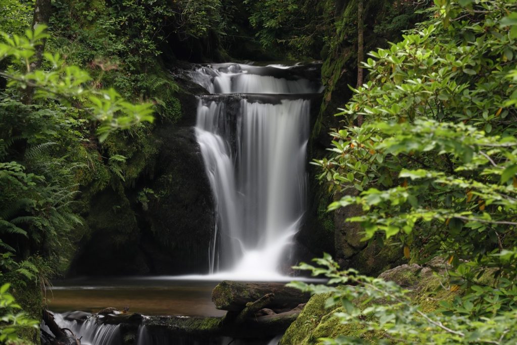 baden baden to geroldsau waterfall