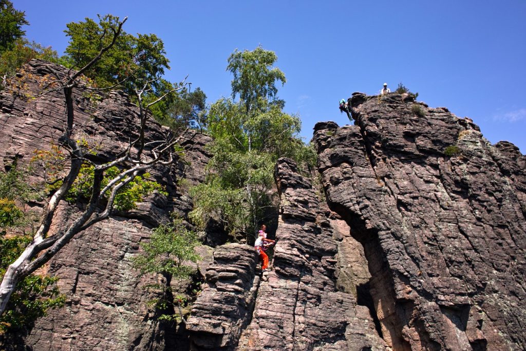 Baden Baden Castle Hike