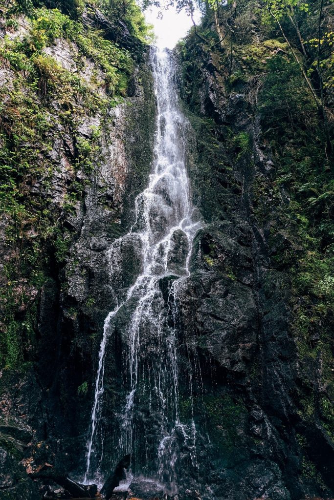 black forest waterfalls