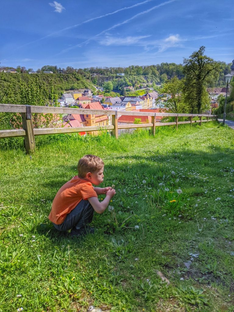 day trips in bavaria