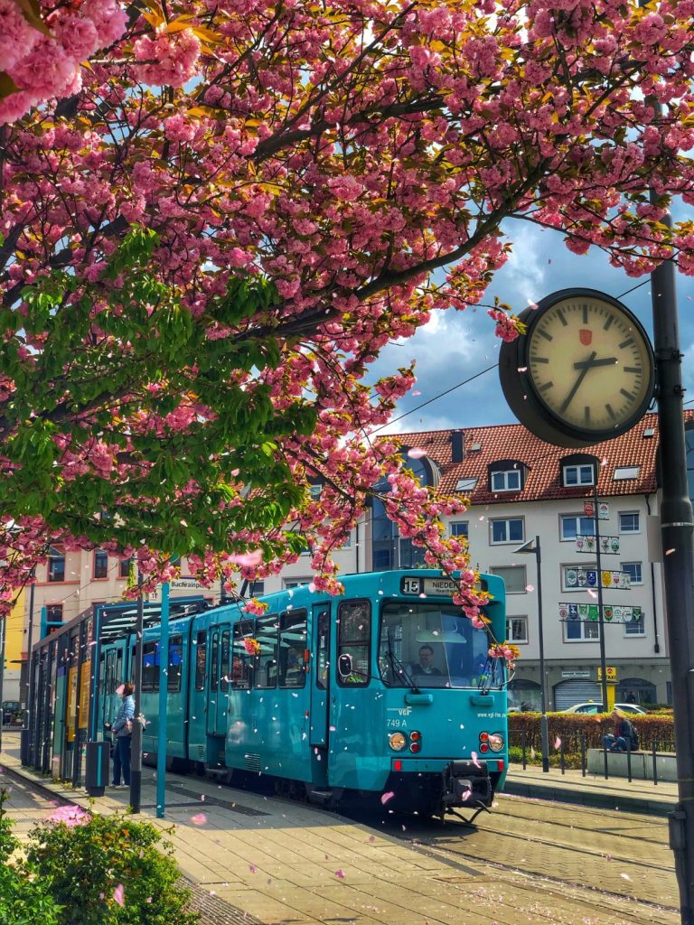 best hotel frankfurt