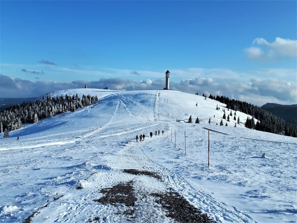 Black Forest in winter