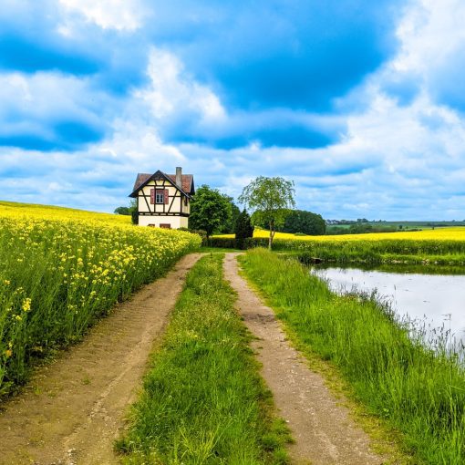 10 day Germany road trip