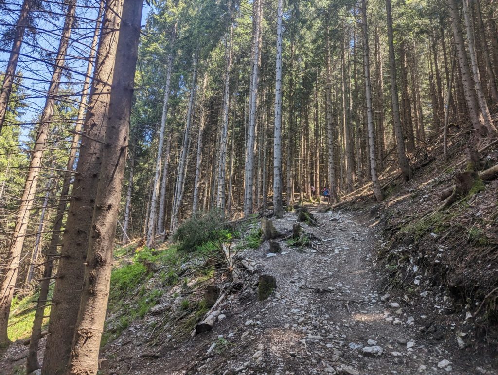 Tegelberg allgäu hikes