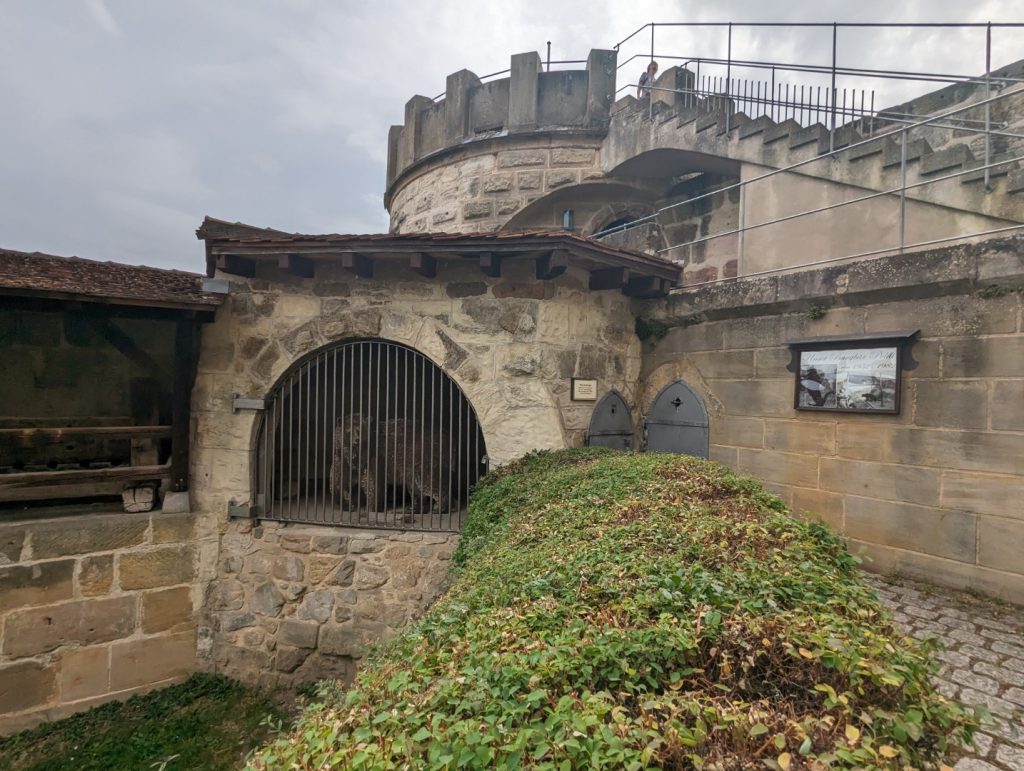 Altenburg Castle Bear