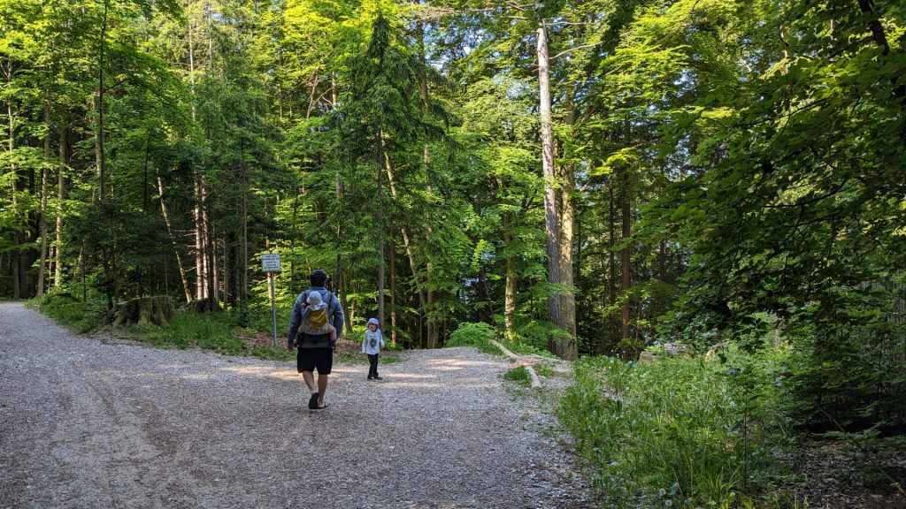 Lake Starnberg Hikes