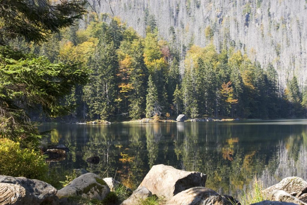 Rachelsee Bavaria Forest Lake